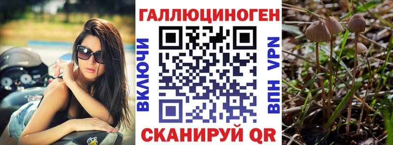 Псилоцибиновые грибы Psilocybe  Купить  Нижневартовск 